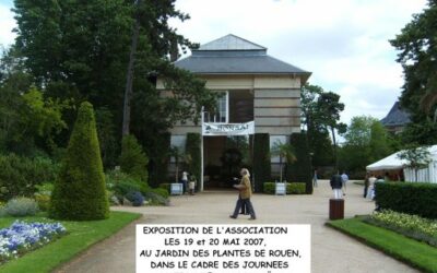 Journée Nationale du Bonsaï – Jardin des plantes – Mai 2007