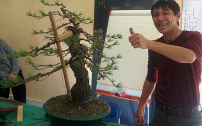 Réalisation d’un bonsaï avec maître Koji Hiramastu
