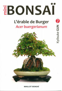 Couverture d’ouvrage : Mini Bonsaï - L'érable de Burger