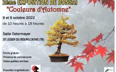 Expo bonsaï « Couleurs d’Automne » le 8 et 9 octobre 2022