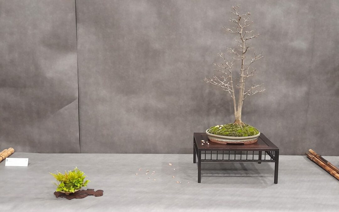 Congrès National 2025