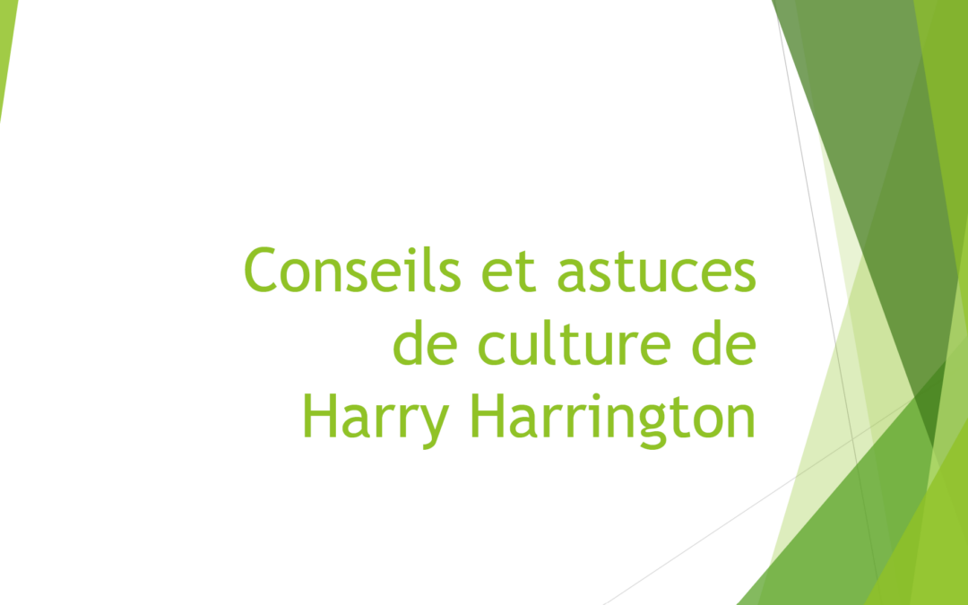 Conseils et astuces de Harry Harrington