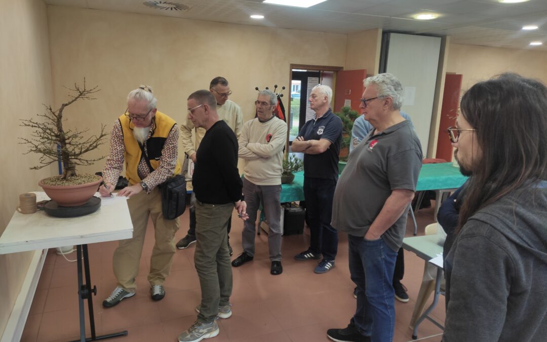 Atelier avec Nicola Crivelli