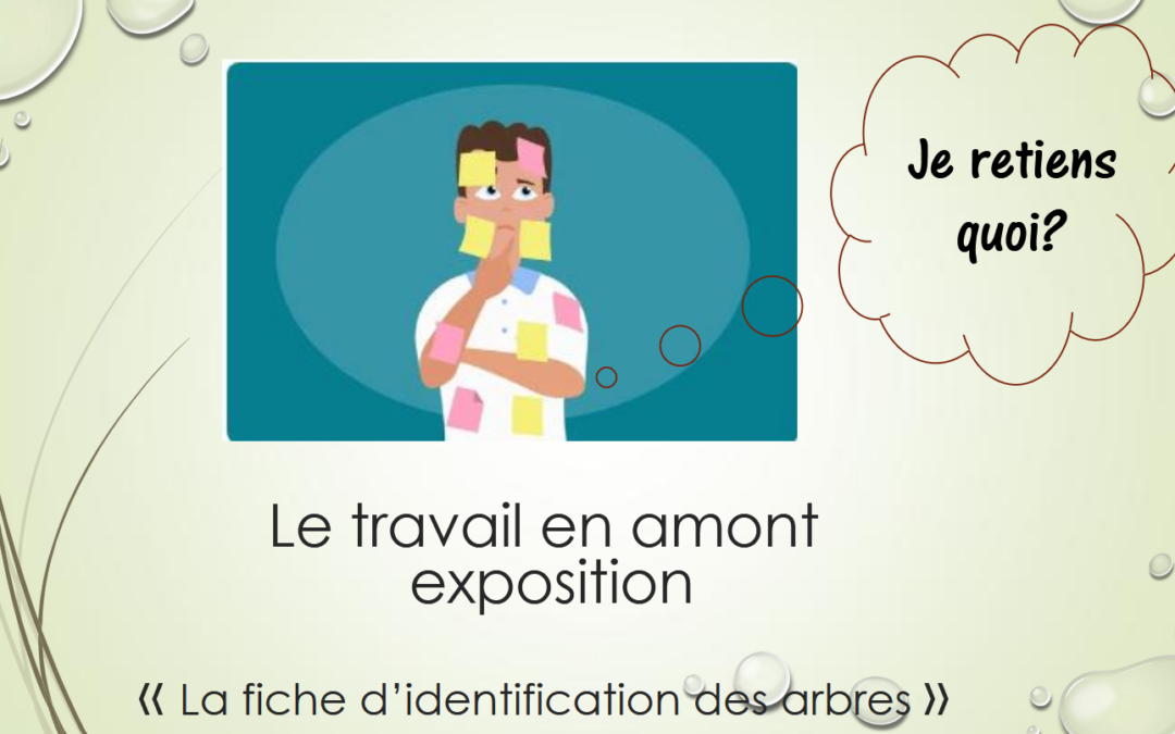 Le travail en amont d&rsquo;une exposition – Je retiens quoi ?