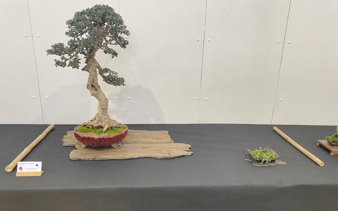 Exposition Régionale Nord 2026, la sélection club et les arbres primés